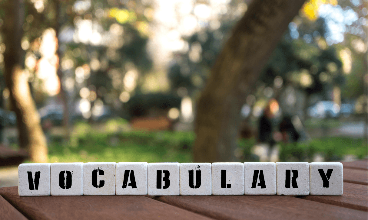 Vocabulary Is the Foundation of 11 Plus Success and Beyond